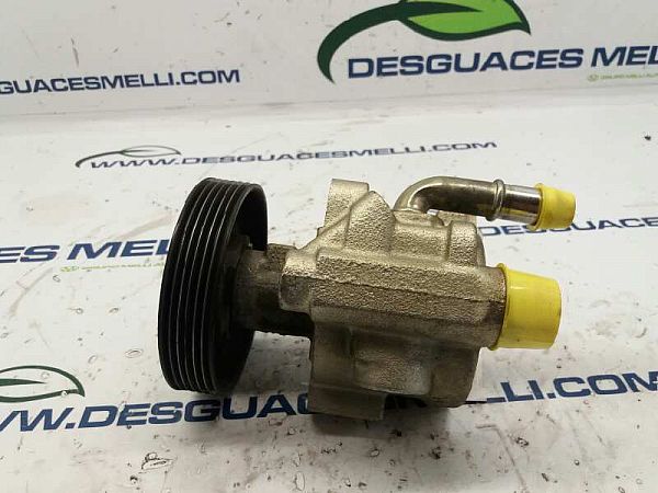 Servopumpe RENAULT MEGANE I (BA0/1_)