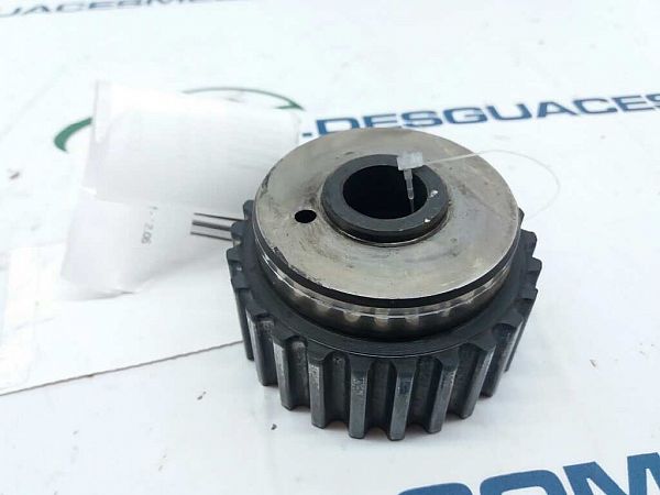Kurbelwelleriemenscheibe RENAULT VEL SATIS (BJ0_)