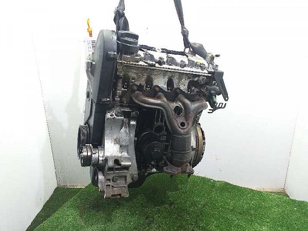 Motor