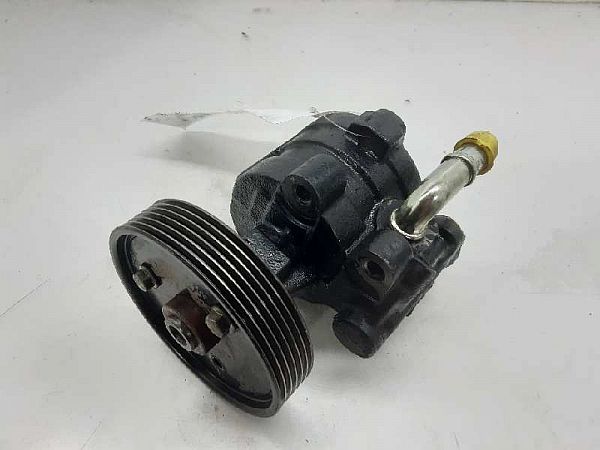 Servopumpe RENAULT MEGANE I (BA0/1_)