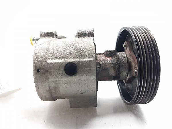 Servopumpe RENAULT MEGANE I (BA0/1_)