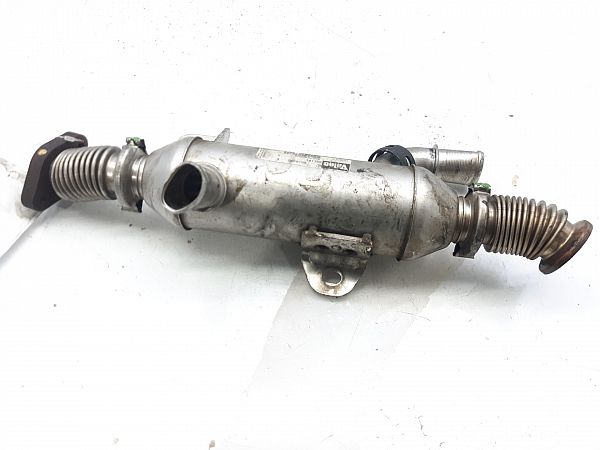 AGR Kühler CITROËN XSARA (N1)