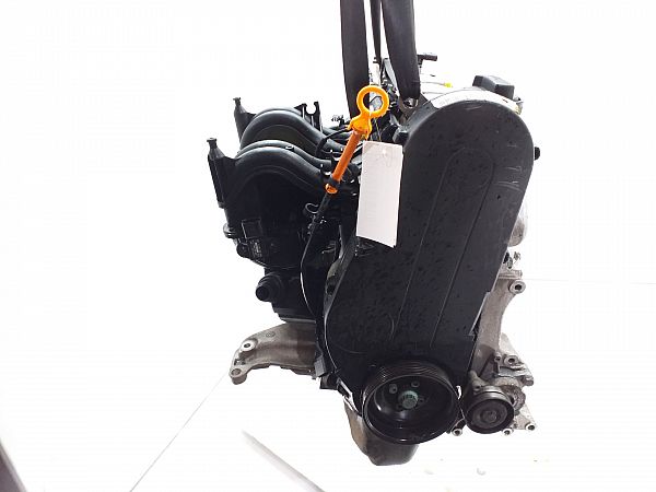 Motor SEAT IBIZA Mk II (6K1)