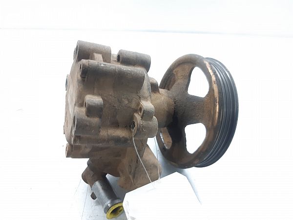 Servopumpe CITROËN RELAY Box (244)