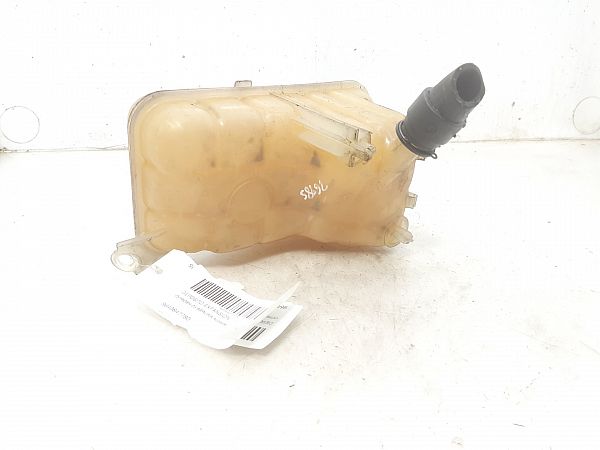 Coolant level sensor