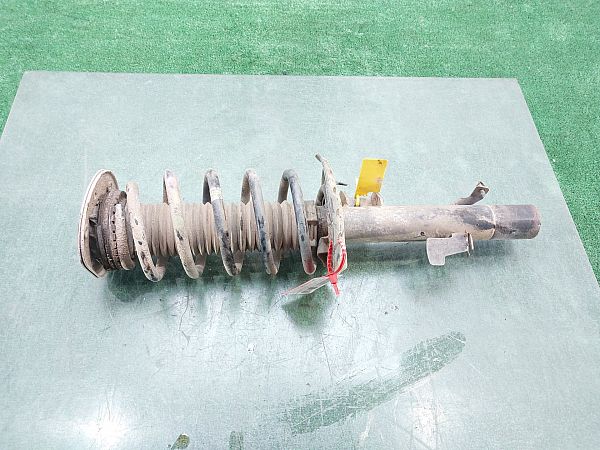 Federbein vorn LAND ROVER FREELANDER 2 (L359)