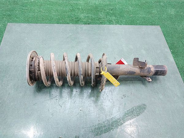 Federbein vorn LAND ROVER FREELANDER 2 (L359)