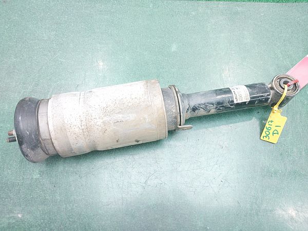 Federbein vorn LAND ROVER DISCOVERY IV (L319)