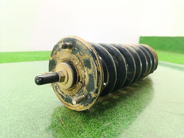 Federbein vorn NISSAN NAVARA NP300 (D40)