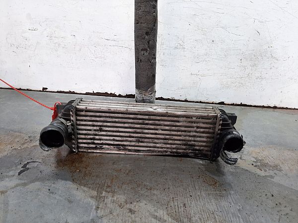 Ladeluftkühler FORD TRANSIT CONNECT (P65_, P70_, P80_)
