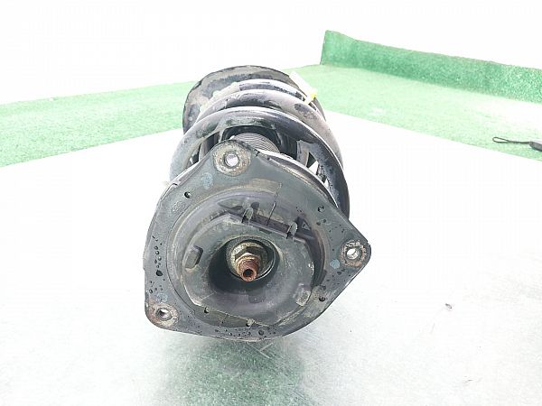 Federbein vorn NISSAN QASHQAI / QASHQAI +2 I (J10, NJ10, JJ10E)