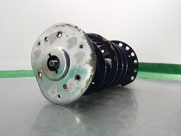 Federbein vorn LAND ROVER FREELANDER 2 (L359)