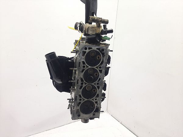 Zylinderkopf FIAT DOBLO MPV (119_, 223_)