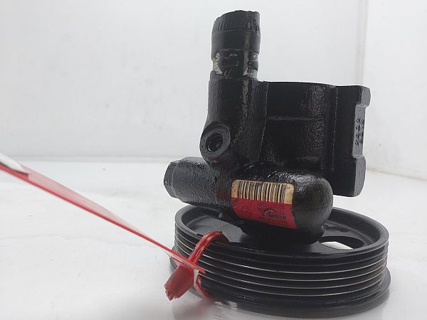 Servopumpe DACIA LOGAN (LS_)