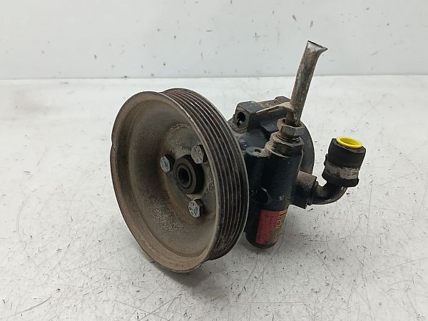 Servopumpe FIAT DOBLO Cargo (223_)