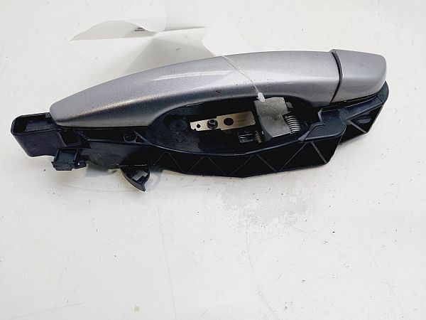 98-029-783-XT: Handle - interior, Handle - exterior, Door