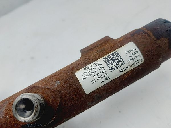 Hochdruckrail RENAULT LAGUNA III Sport Tourer (KT0/1)