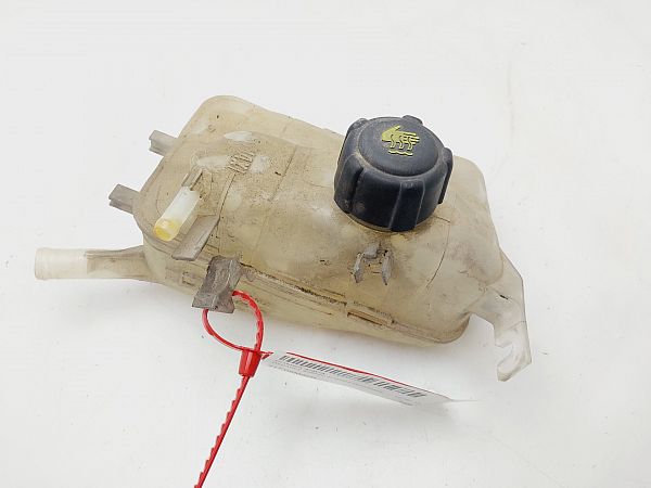 Wasserpumpe RENAULT GRAND SCÉNIC III (JZ0/1_)