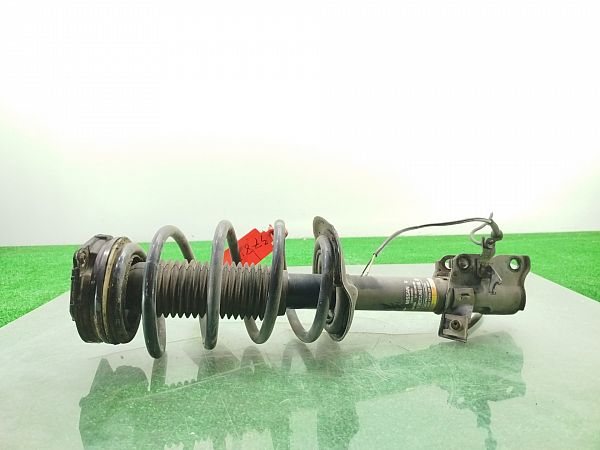 Federbein vorn NISSAN QASHQAI / QASHQAI +2 I (J10, NJ10, JJ10E)