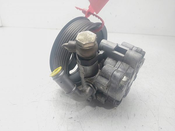 Servopumpe LAND ROVER RANGE ROVER SPORT I (L320)