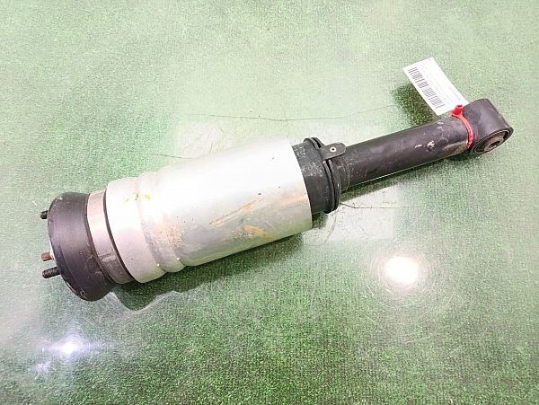 Federbein vorn LAND ROVER DISCOVERY III (L319)