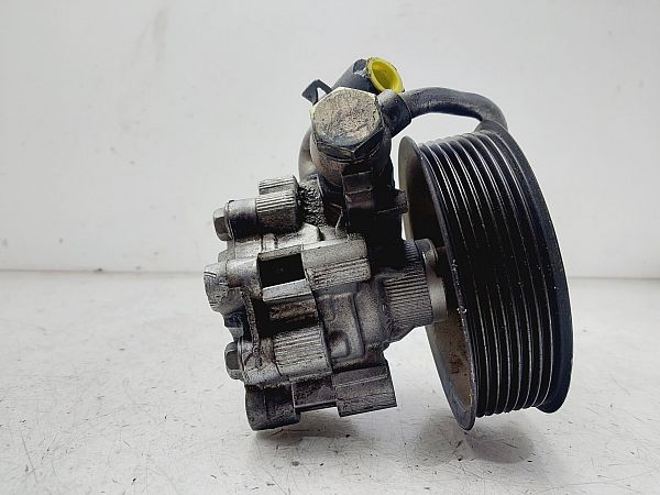 Servopumpe LAND ROVER DISCOVERY III (L319)