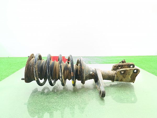 Federbein vorn LAND ROVER FREELANDER (L314)