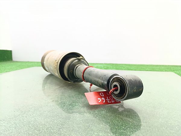 Federbein vorn LAND ROVER DISCOVERY III (L319)