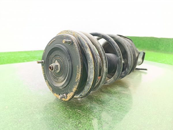 Federbein vorn SUZUKI BALENO (EG)