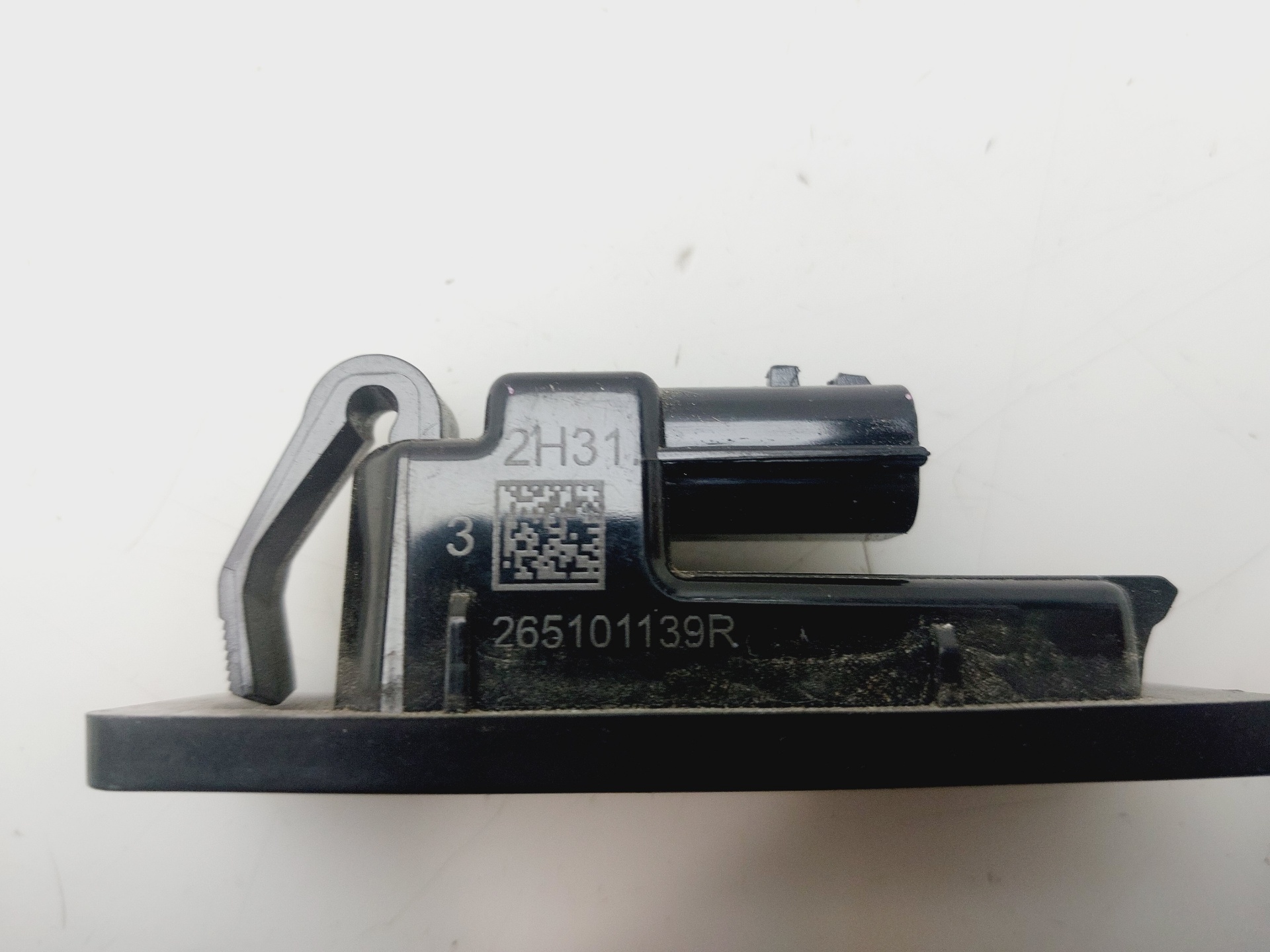 Nummernschildbeleuchtung RENAULT AUSTRAL