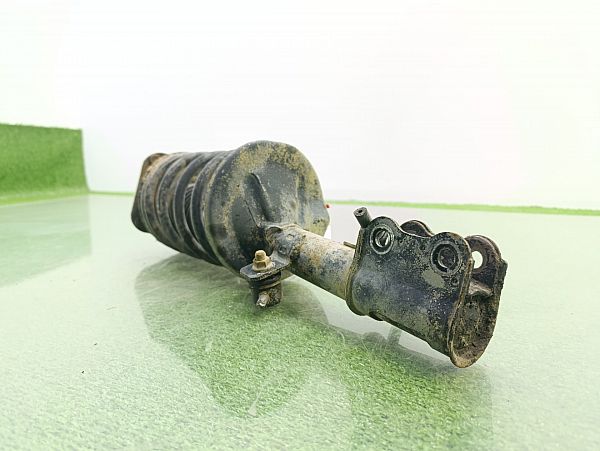 Federbein vorn KIA SHUMA (FB)