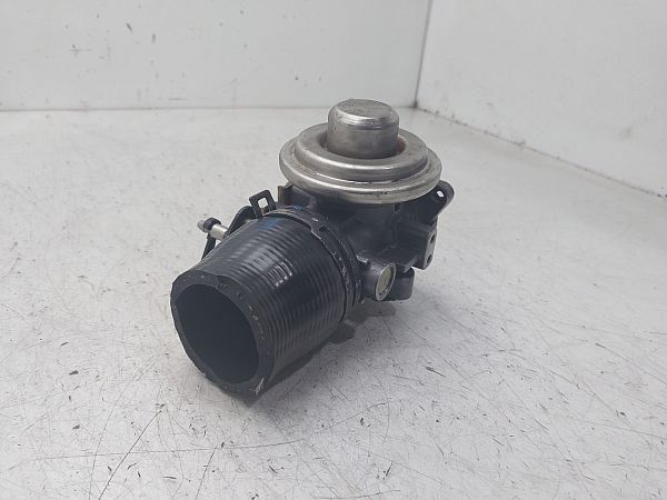 EGR valve