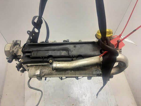 Engine cylinder head
