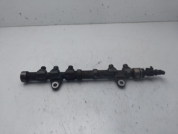 Hochdruckrail FIAT 500L (351_, 352_)