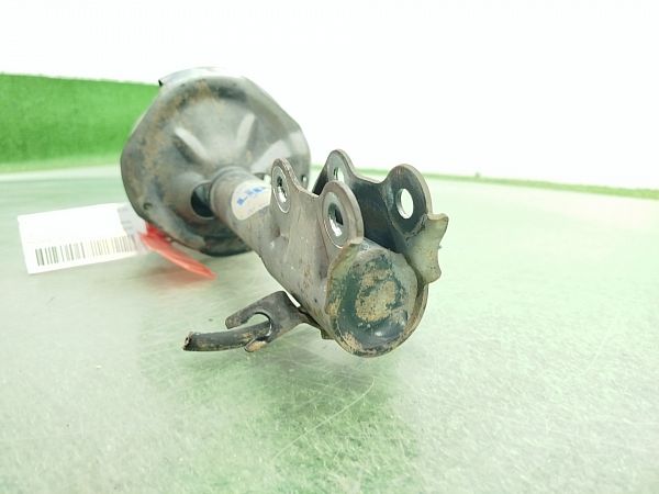 Federbein vorn NISSAN ALMERA Mk II (N16)