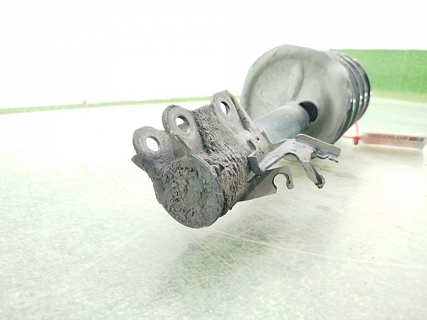Federbein vorn NISSAN ALMERA Mk II (N16)