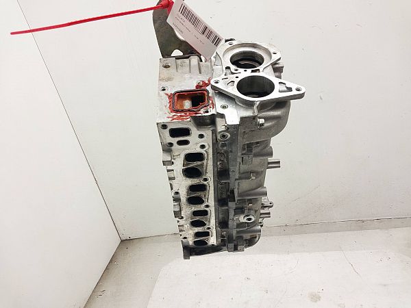 Zylinderkopf FIAT DOBLO Platform/Chassis (263_)