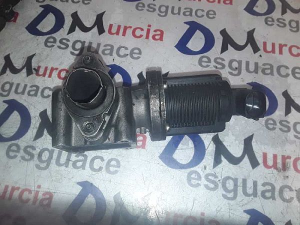 EGR Ventil ALFA ROMEO 159 Sportwagon (939_)