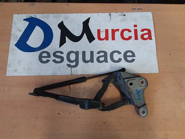 Federbein vorn BMW X1 (E84)