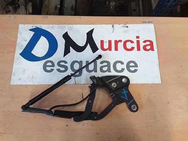 Federbein vorn BMW X1 (E84)