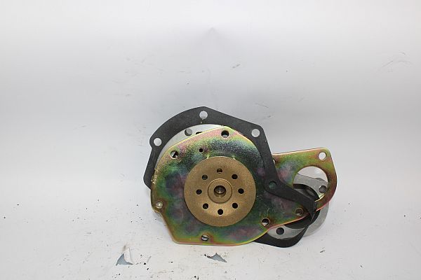 Wasserpumpe RENAULT SAFRANE   (B54_)