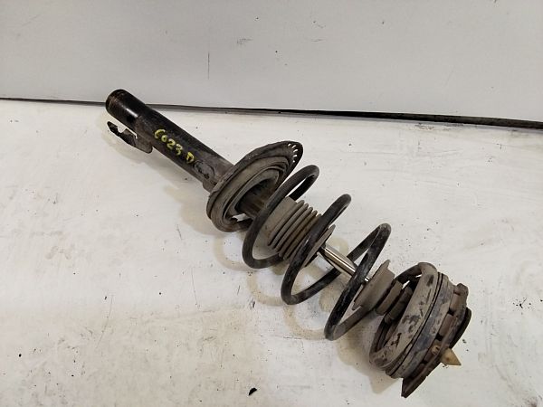 Federbein vorn RENAULT MEGANE II Saloon (LM0/1_)