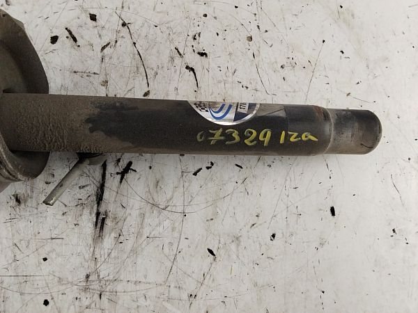 Federbein vorn BMW 3 (E46)