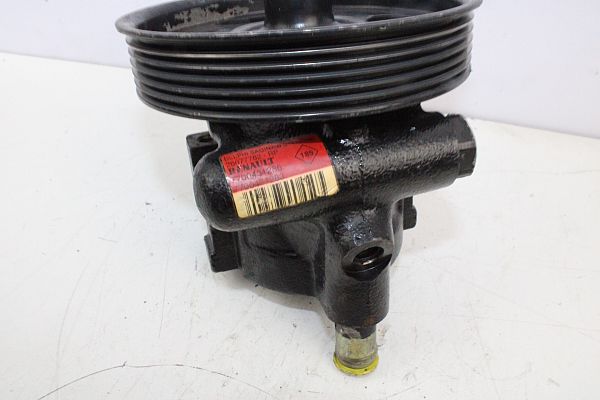Servopumpe DACIA SANDERO (BS_)