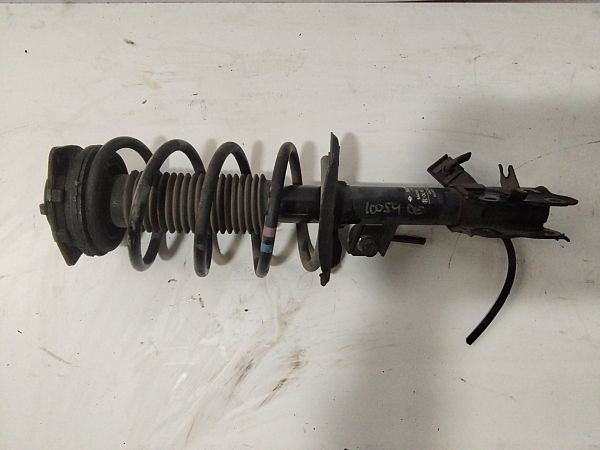 Federbein vorn NISSAN QASHQAI / QASHQAI +2 I (J10, NJ10, JJ10E)