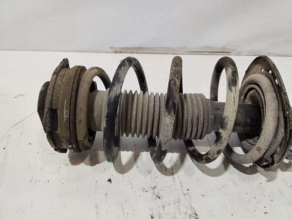 Federbein vorn NISSAN QASHQAI / QASHQAI +2 I (J10, NJ10, JJ10E)