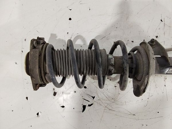 Federbein vorn AUDI A3 (8P1)