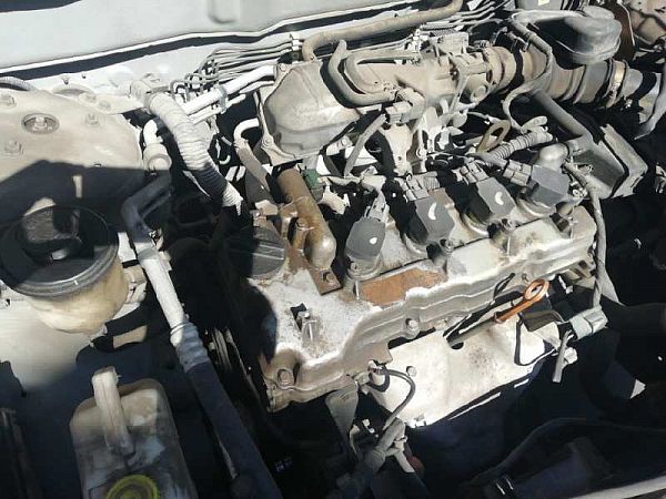 Motor NISSAN ALMERA Mk II (N16)