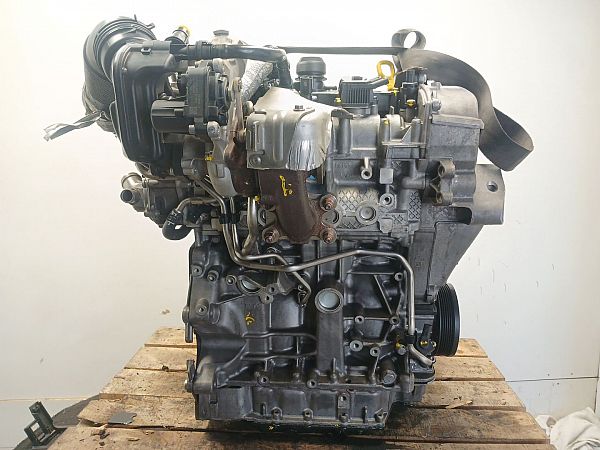 Motor