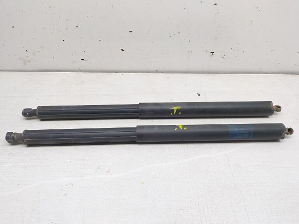 Tailgate strut